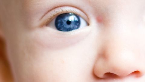 Minuscule Eye Movements Don't Drive the Brain's Attention Signals