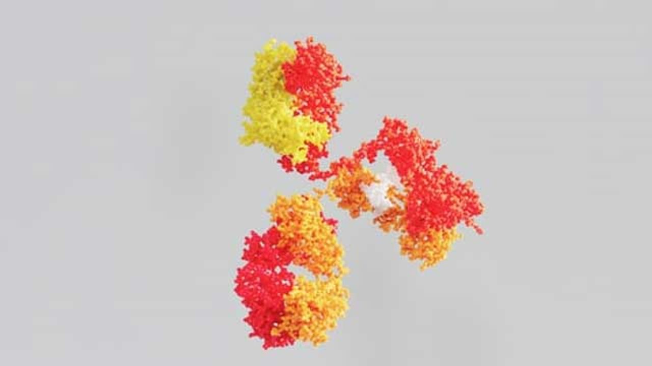 Role of IgA Antibodies in COVID-19 Protection Pre-Vaccines