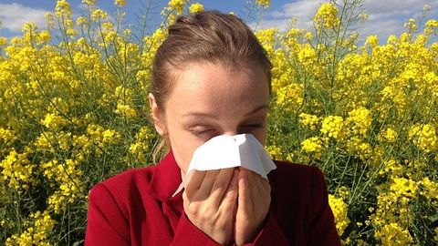 Cause of Allergic Reactions Verified