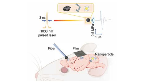 New Technique Uses Light and Ultrasonic Sound Waves To Modulate the Brain