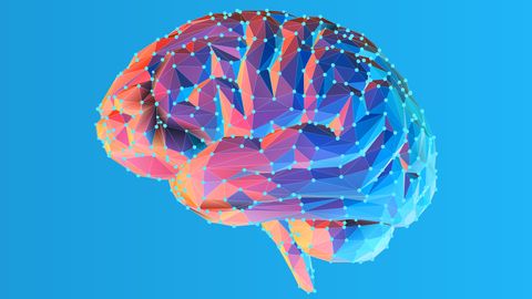 Researchers Develop Global Computational Model for Alzheimer's Disease