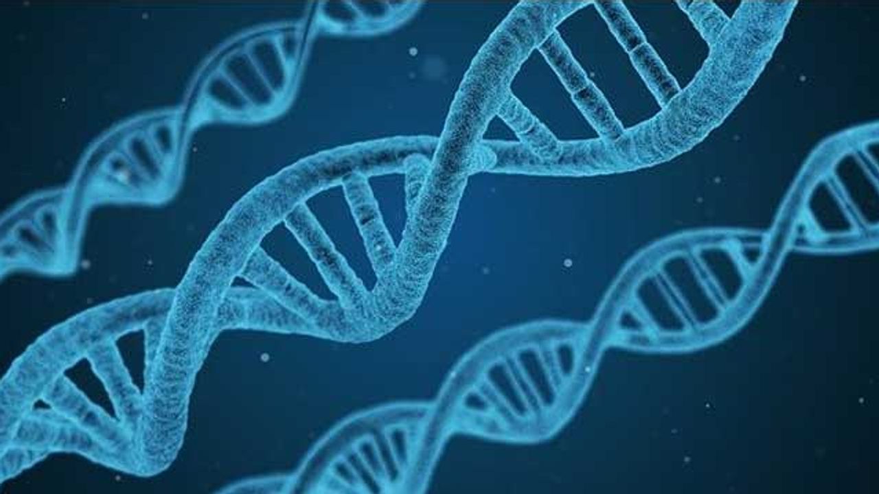 Genetic Risk in Asthma Mediated by Gene Expression Changes in Airway Cells