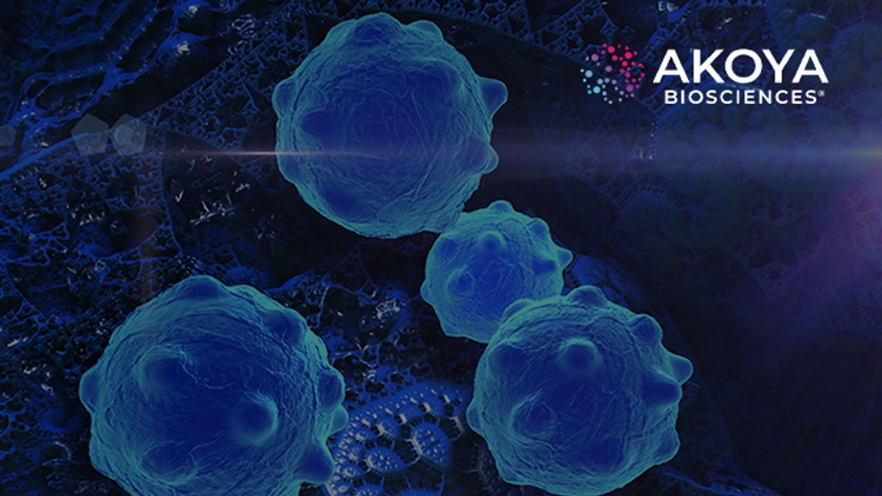Scaling Up Deep Spatial Phenotyping of the Tissue Microenvironment