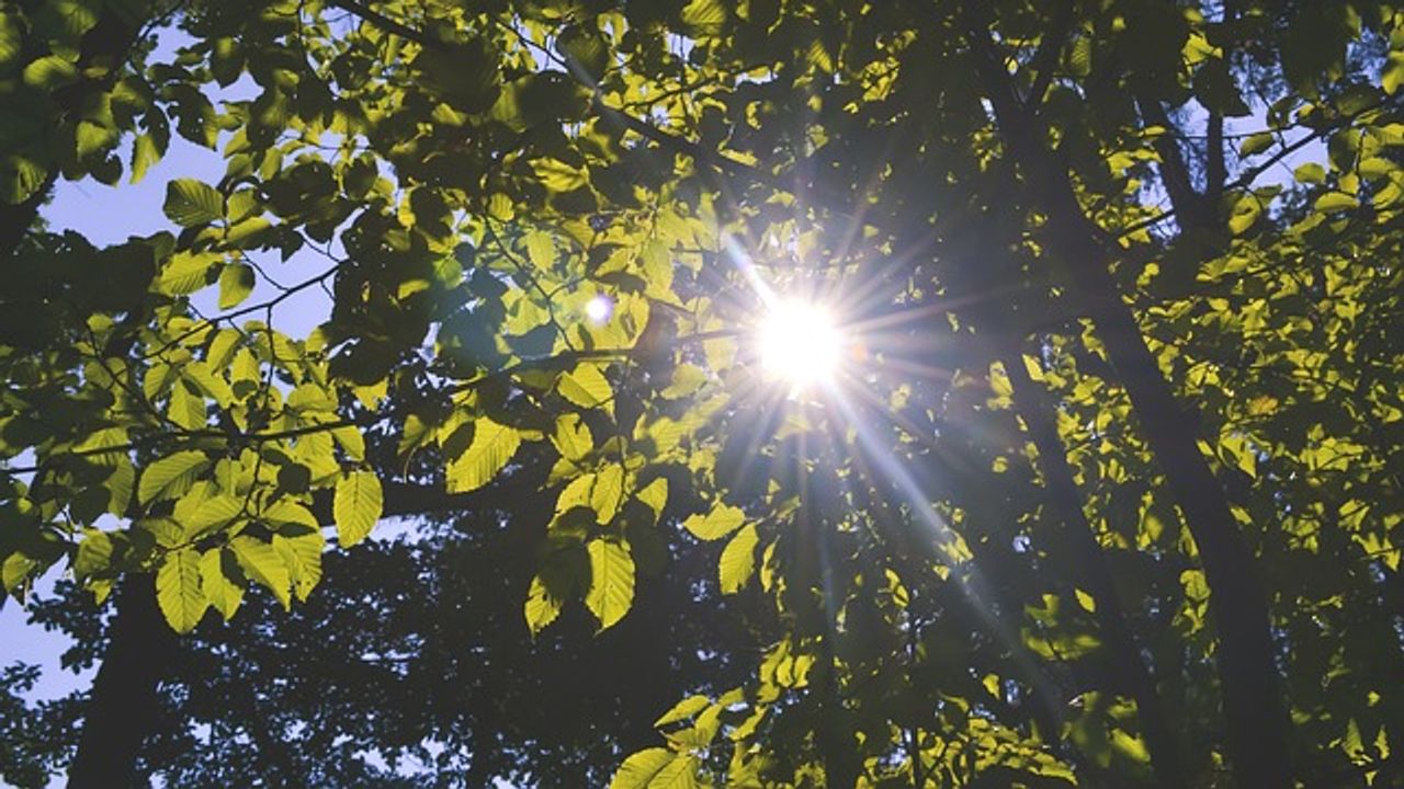 Theory on Transfer of Light Energy Refuted