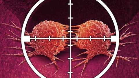 Disrupting Repair Mechanism Prevents Cancer Cells From Regenerating