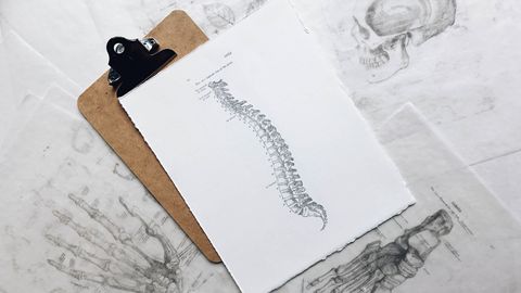 Chronic Low Back Pain Linked to Brain Shrinkage in Key Regions