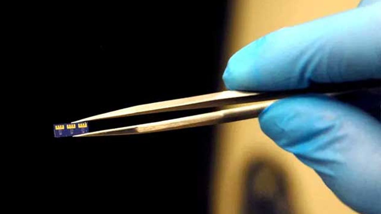 Modified Proteins Convert Nanotubule to Optoelectronic Device