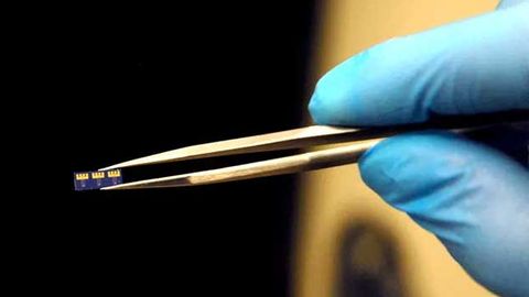 Modified Proteins Convert Nanotubule to Optoelectronic Device