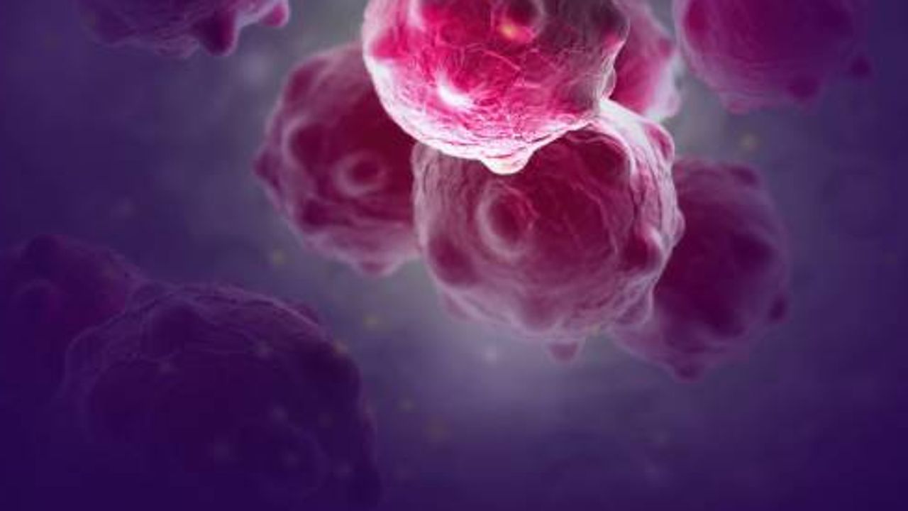 Analysis of Cancer Spheroids Through High-Throughput Screening Assays