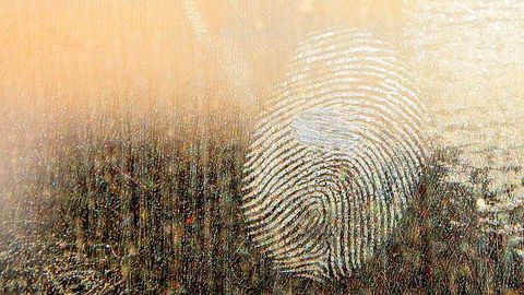 Understanding "Shedders" Could Improve Crime Scene Investigations