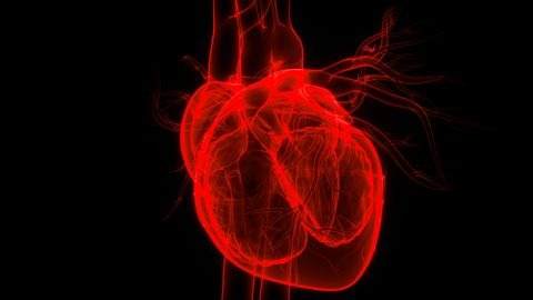 Novel Risk Factors for Arrhythmia Uncovered