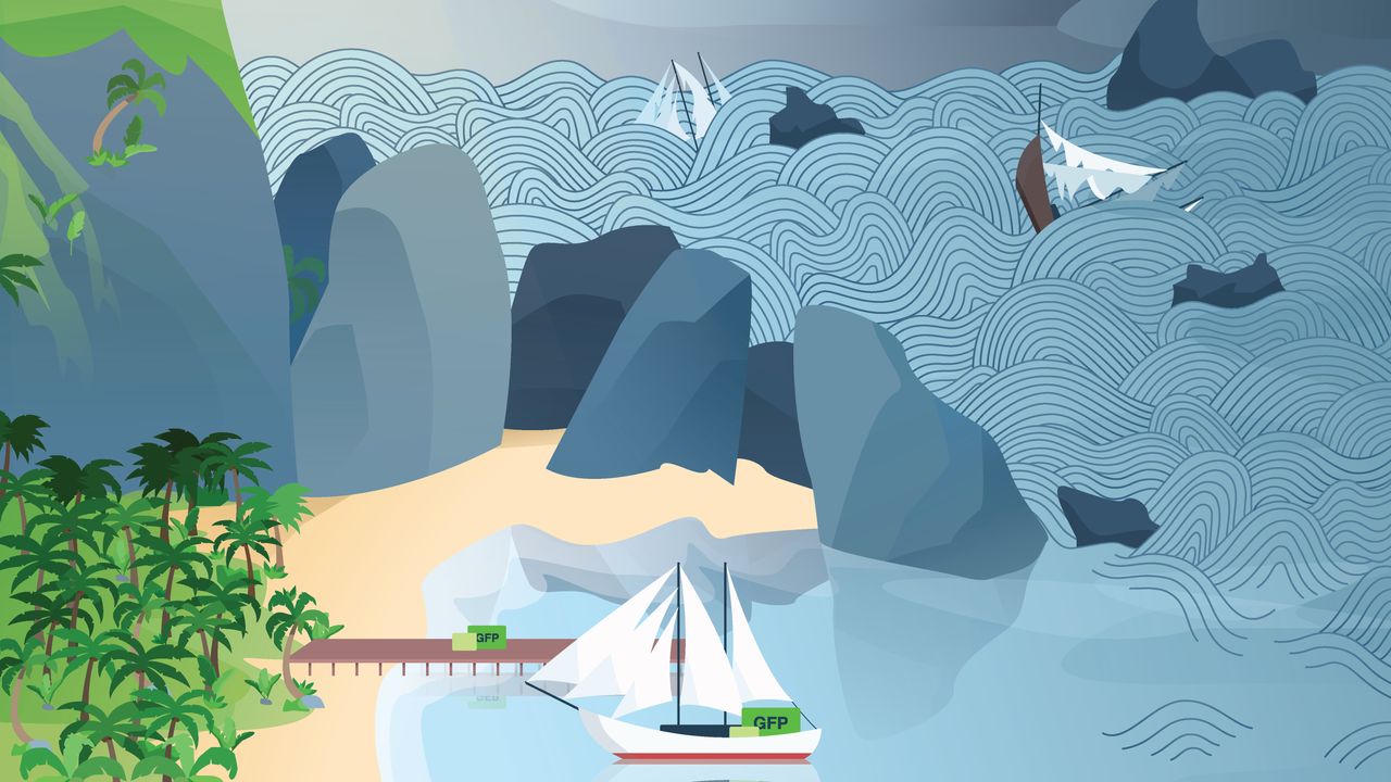 Sailing the Genome in Search of Safe Harbors