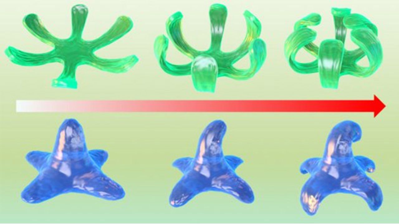 Novel Bioink Developed for Bioprinting 4D Constructs