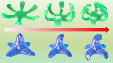Novel Bioink Developed for Bioprinting 4D Constructs