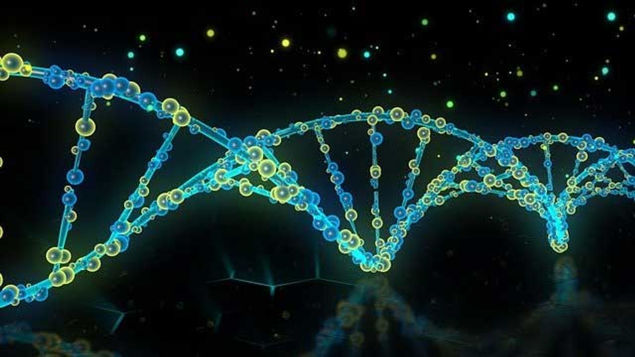 Why Immunodeficiency Affects Only One Identical Twin