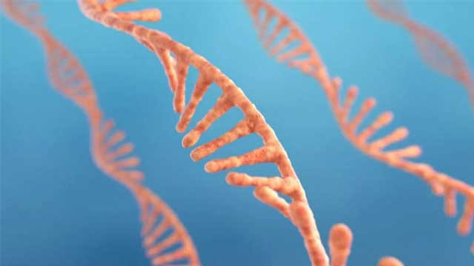 Molecules Produced in Response to Stress May Be Indicators of Various Diseases content piece image