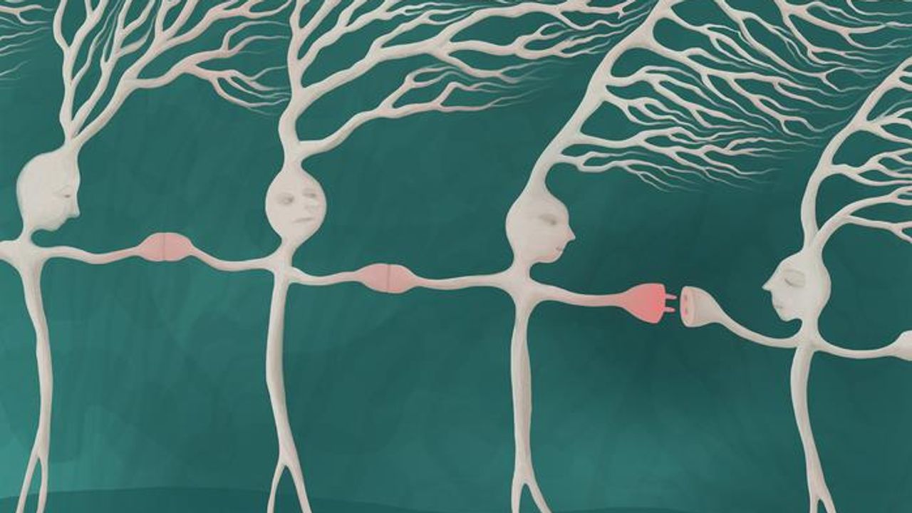 Synapse Study Explores the "Dark Matter of the Brain"