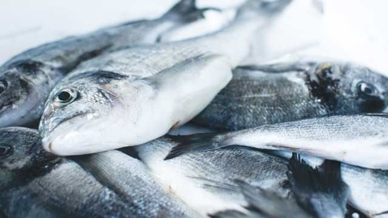 Detection of Ciguatoxins in Fraudulent Fish Enabled by Combining Testing Methods