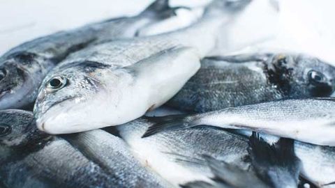 Detection of Ciguatoxins in Fraudulent Fish Enabled by Combining Testing Methods 通过结合测试方法检测欺诈性鱼类中的柠檬酸辛