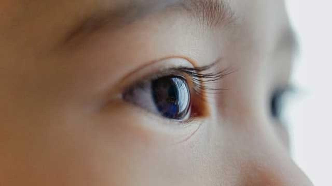 How Multiple Genes Impact Vision Development