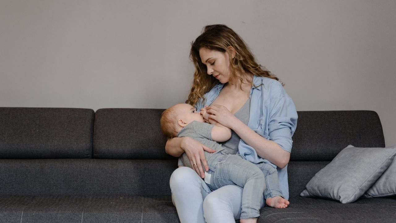 How Do Milk-Producing Cells Change Over Time in Nursing Mothers?