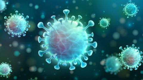 Zooming in on SARS-CoV-2 Replication to Develop Antiviral Therapies Zooming in on SARS-CoV-2 Replication to Develop Antiviral Therapies