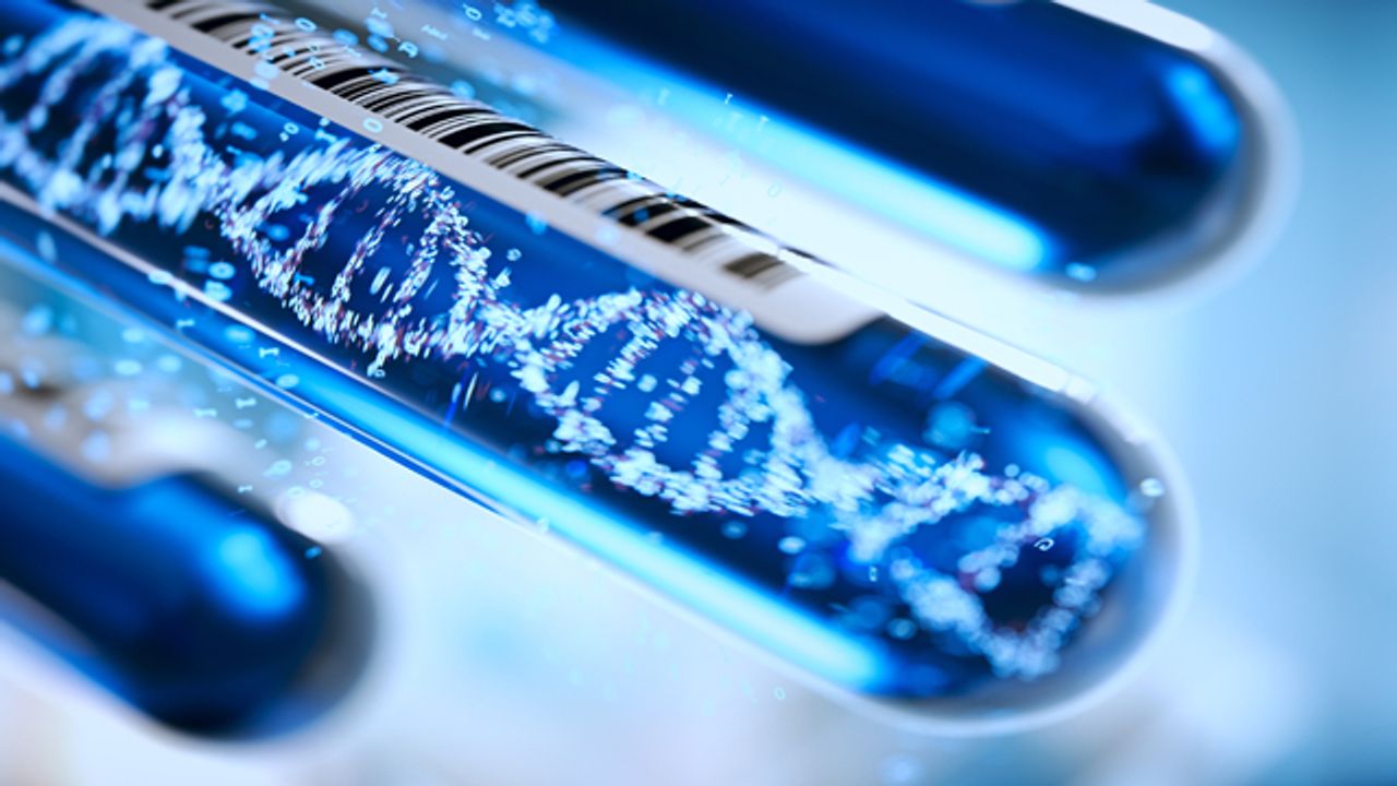 Impact of DNA Evidence in Assault Prosecution