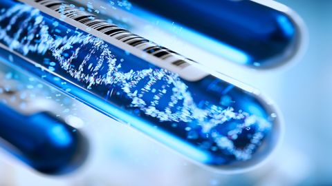 Impact of DNA Evidence in Assault Prosecution