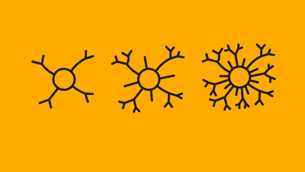 How Restoring Brain Plasticity Is the Secret to Reversing Brain Damage