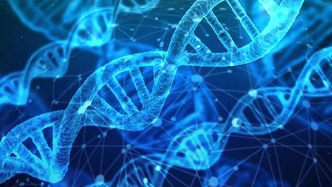 First Strong Genetic Risk Factor for Bipolar Disorder Found