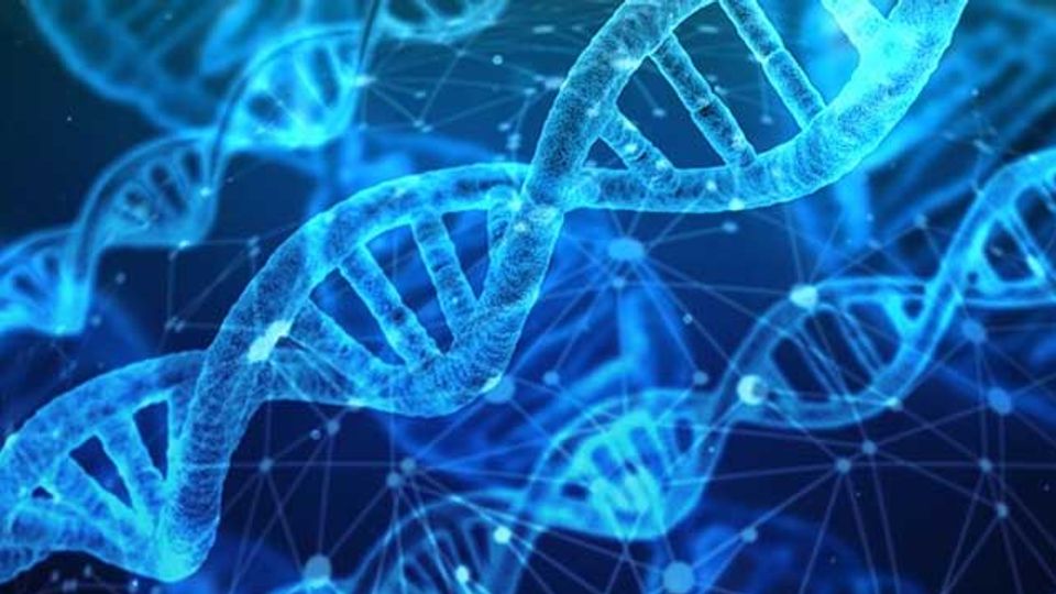 First Strong Genetic Risk Factor for Bipolar Disorder Found content piece image