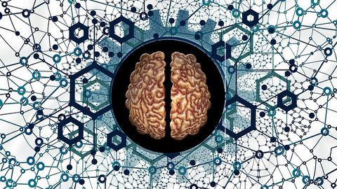 The Brain Encodes Mnemonics in Brain Activity
