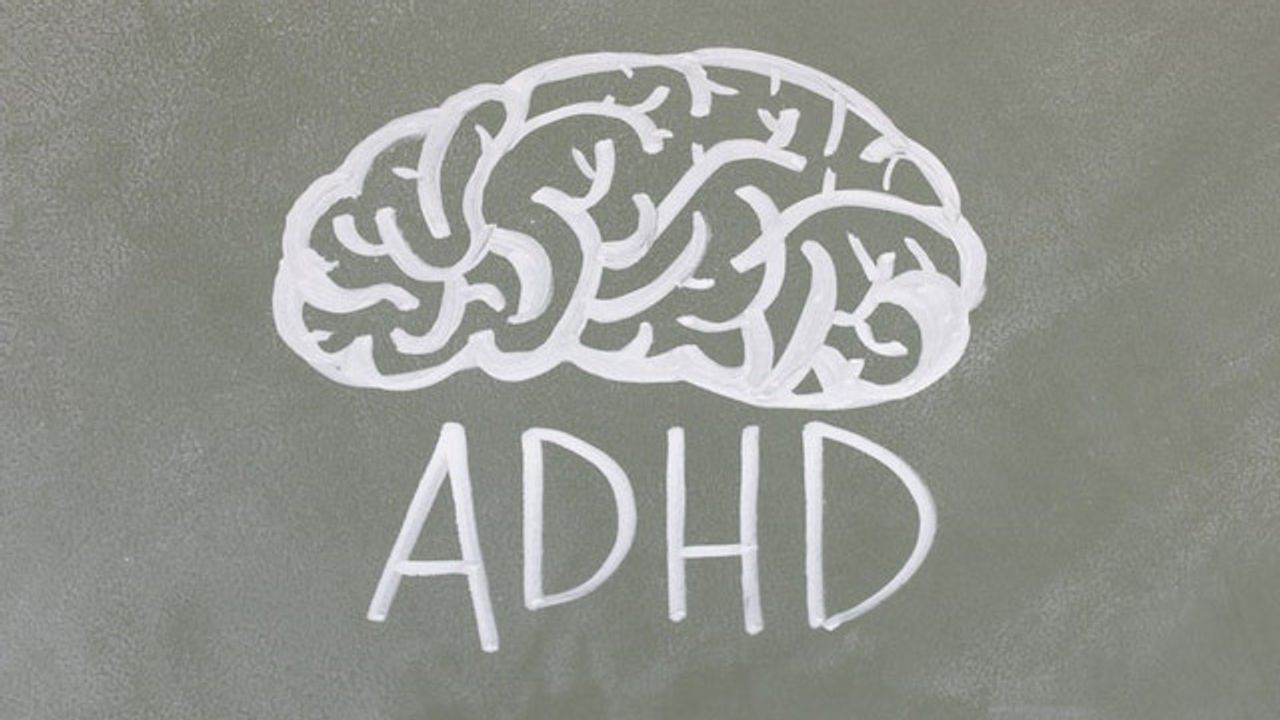 Mice With ADHD-Linked Mutation Show Reduced Attention