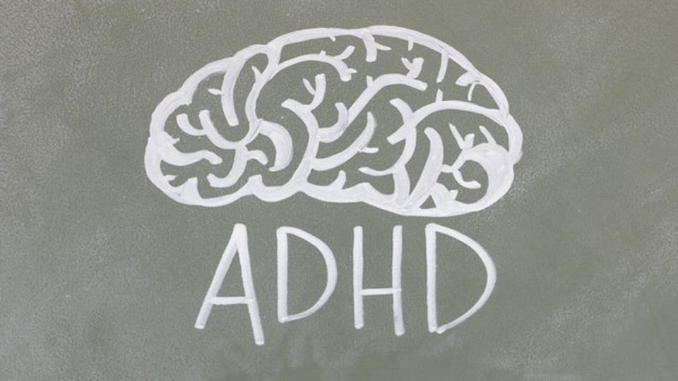 Mice With ADHD-Linked Mutation Show Reduced Attention content piece image