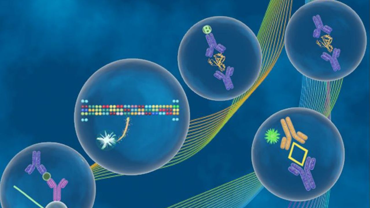 Your Guide to Luminex Multiplex Immunoassays