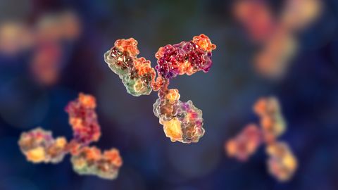 Anti-HIV Therapy Yields Promising Phase I Trial Results