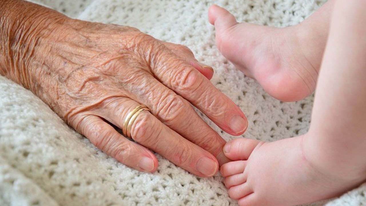 Study Reveals How To Rejuvenate the Immune System of Elderly People