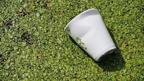 Waste Polystyrene Turned Into Useful Benzoic Acid on a Sunny Windowsill