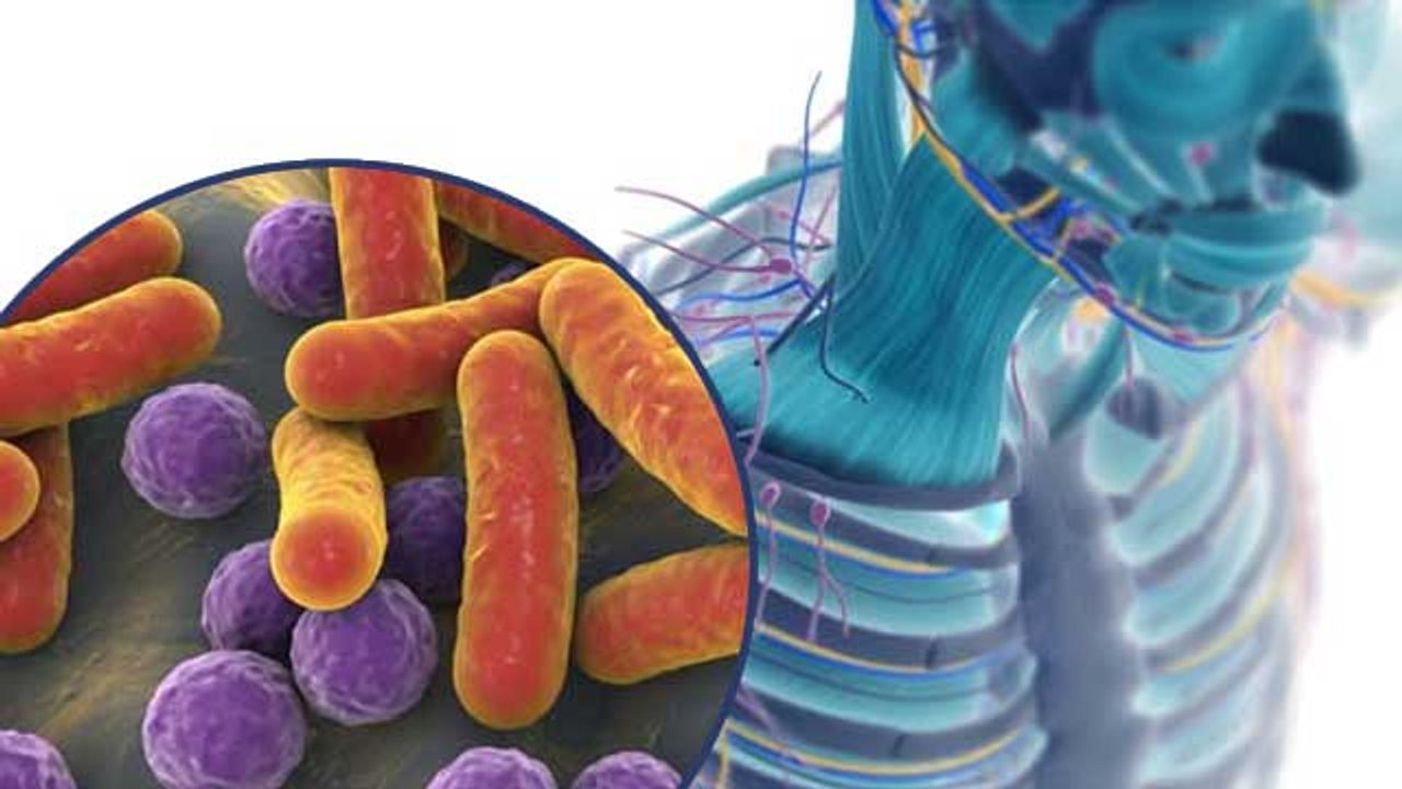 Live Biotherapeutics ‒ A Novel Way To Treat Disease
