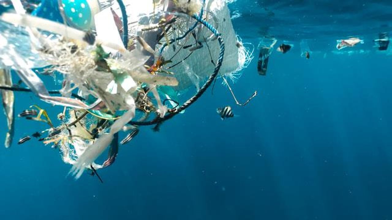 一些“可生物降解”塑料的性能比海洋中的传统塑料更好