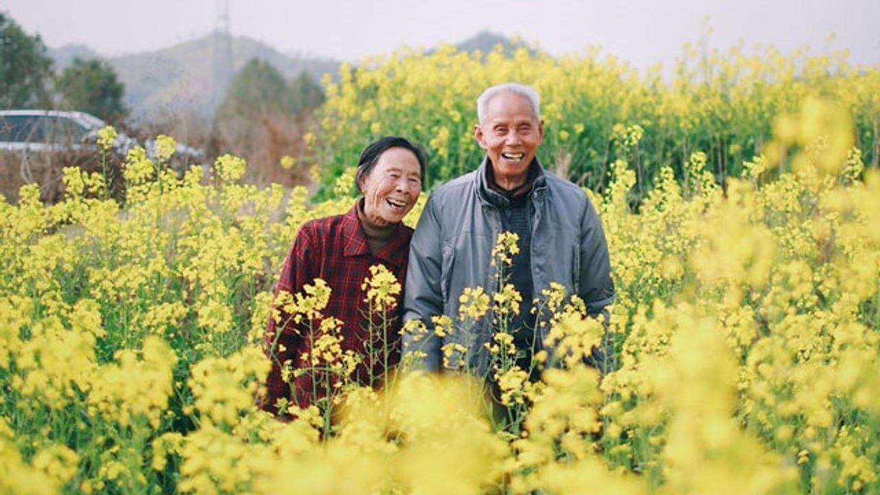 Foreign Languages Slow Down Brain Aging