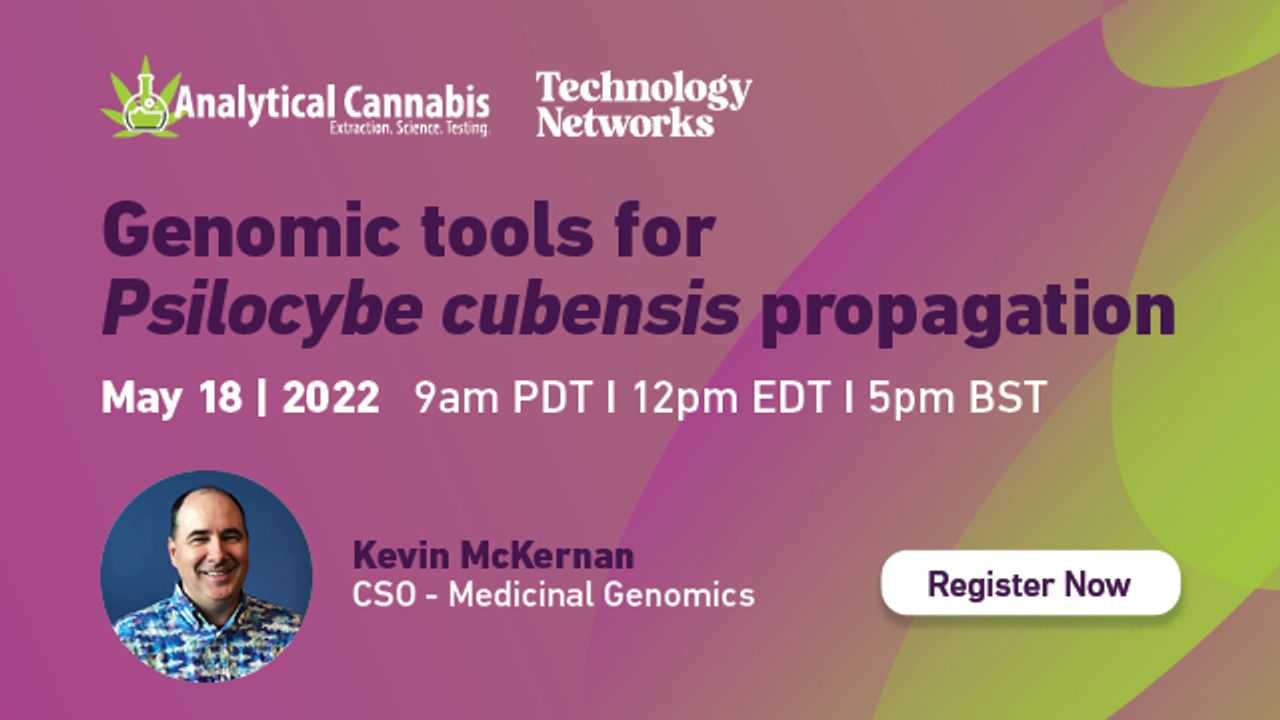 Genomic tools for Psilocybe cubensis propagation