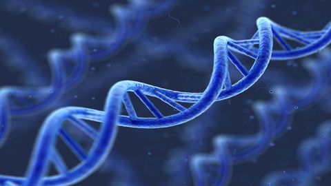 Enzymatic Approaches Promise To Bring DNA Synthesis Back to Labs