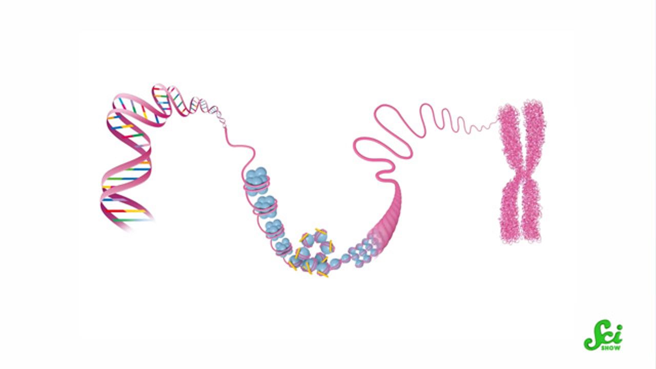 We Hadn't Sequenced the Human Genome...Until Now