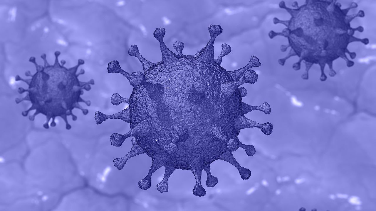 Nanoparticles Could Enable a More Sensitive and Durable Rapid COVID-19 Test