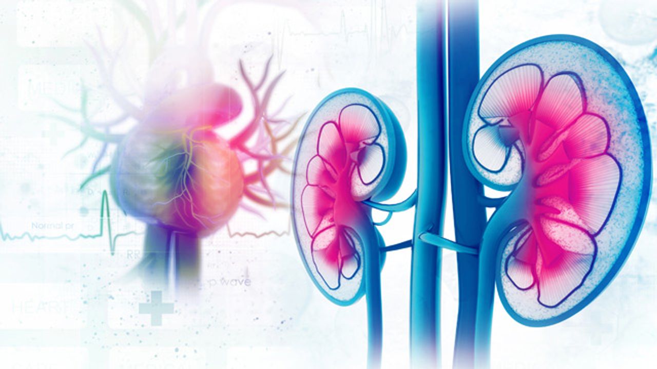 5种独特的方式在生物医学研发中应用了片内技术