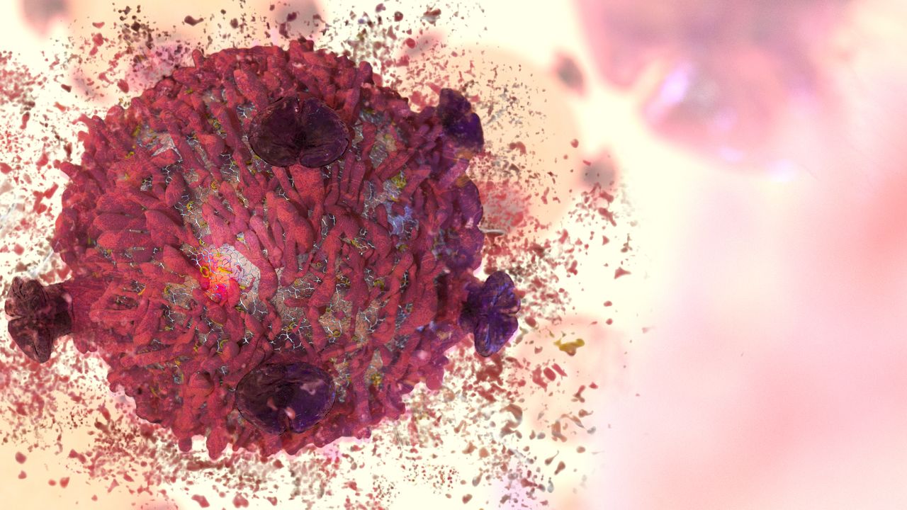 Androgens: A New Target for Immunotherapy?