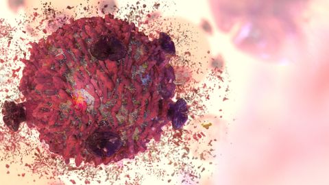 Androgens: A New Target for Immunotherapy?