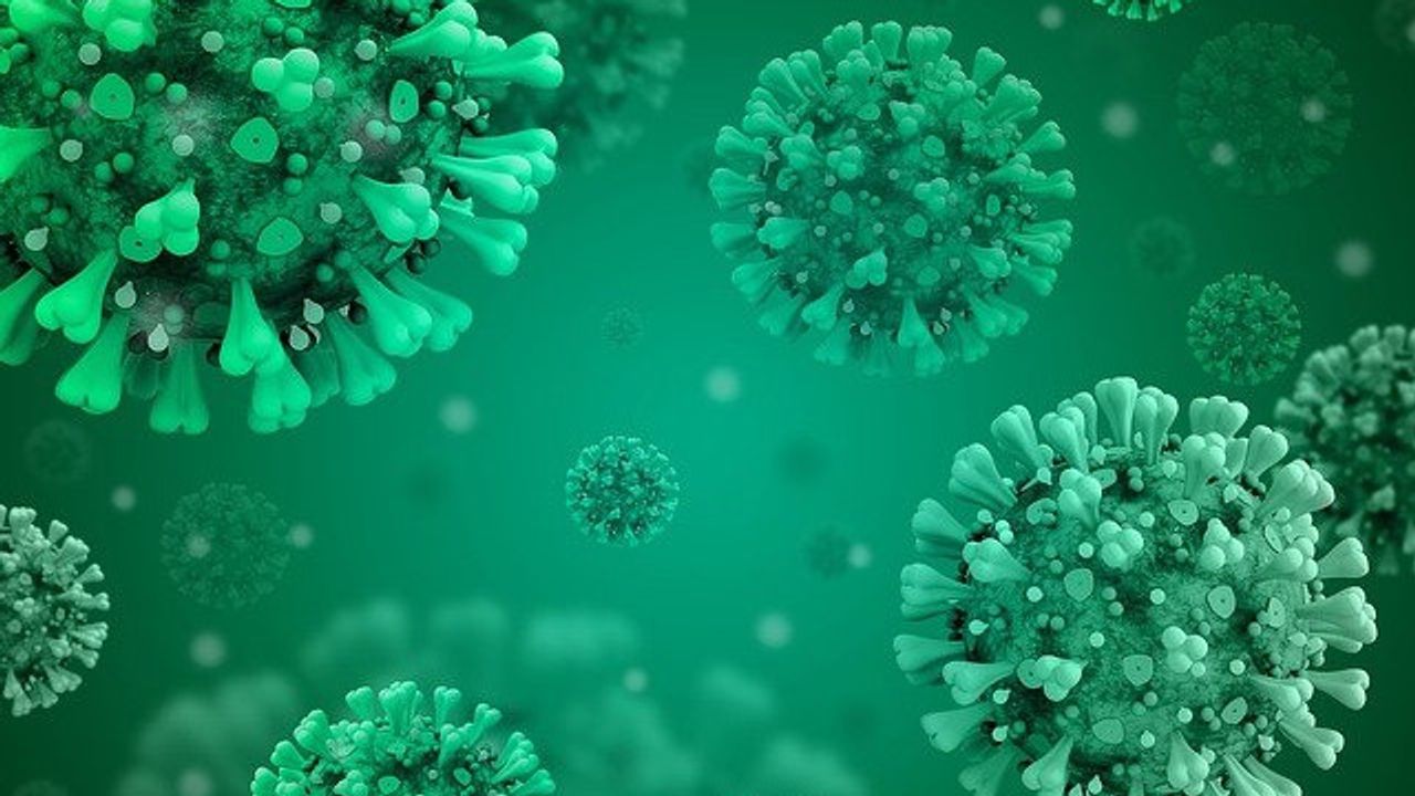 Point-of-Care COVID-19 Test Can Distinguish Alpha Variant From Earlier Strains