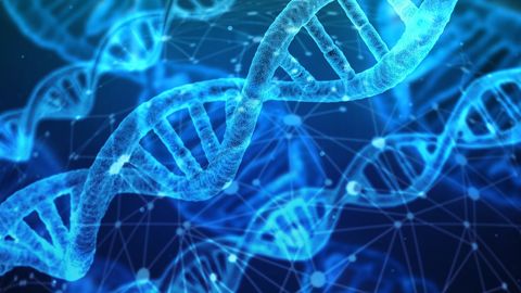 10x Genomics Launches Two New Products To Unlock Wider Range of Samples for Single Cell Analysis on Chromium 10x Genomics Launches Two New Products To Unlock Wider Range of Samples for Single Cell Analysis on Chromium